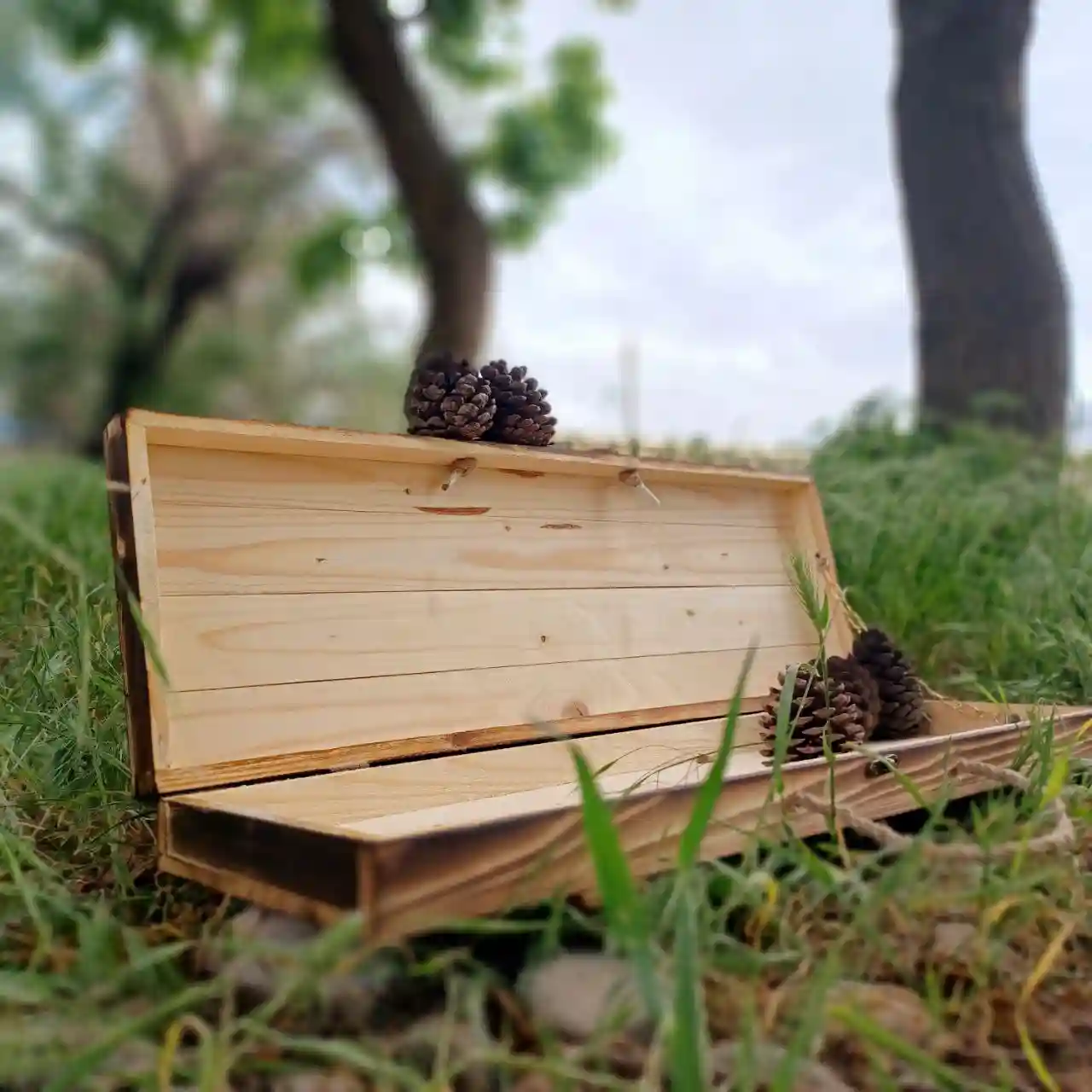 جعبه ی چوبی - تصویر 4